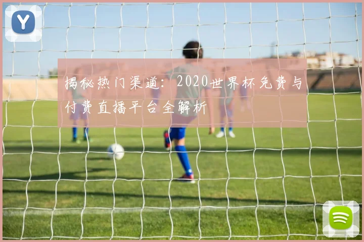 揭秘热门渠道:2020世界杯免费与付费直播平台全解析
