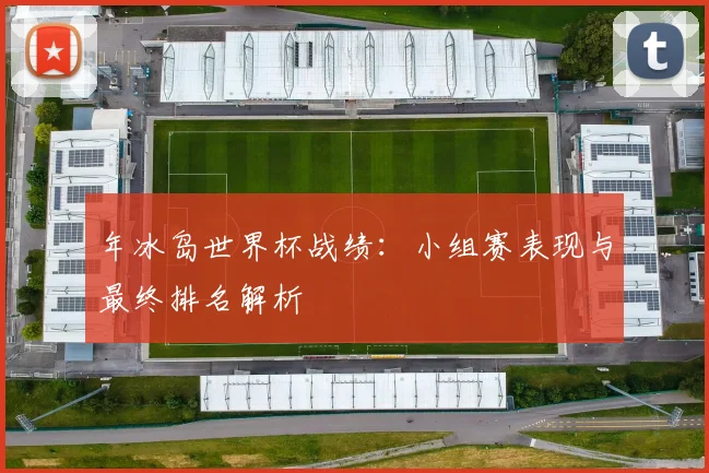 年冰岛世界杯战绩：小组赛表现与最终排名解析