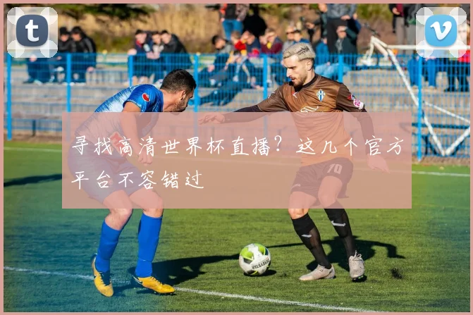 寻找高清世界杯直播?这几个官方平台不容错过