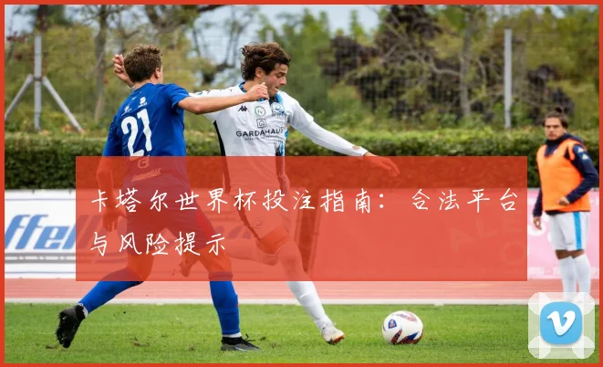卡塔尔世界杯投注指南：合法平台与风险提示