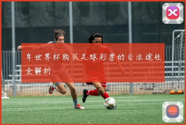 年世界杯购买足球彩票的合法途径全解析