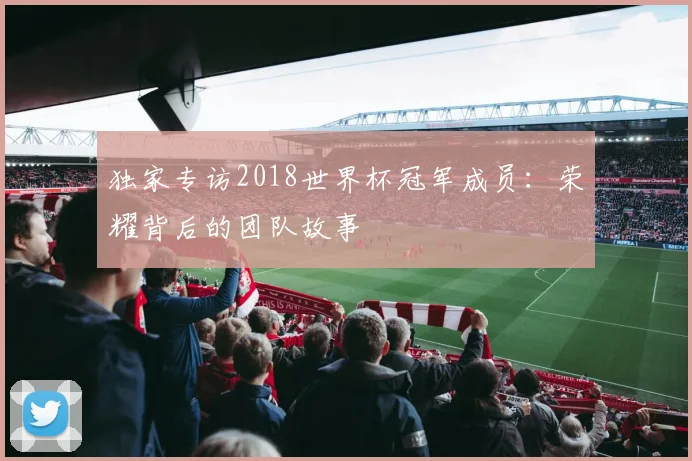独家专访2018世界杯冠军成员：荣耀背后的团队故事